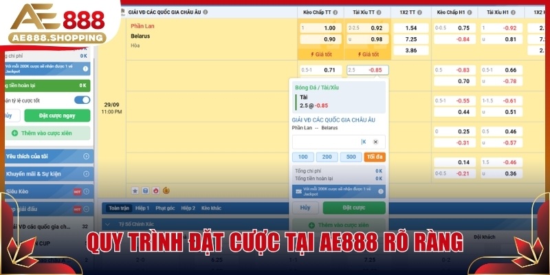 Quy trình đặt cược tại AE888 rõ ràng